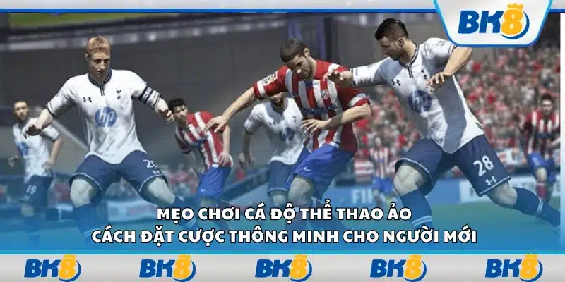 Mẹo chơi cá độ thể thao ảo – Cách đặt cược thông minh cho người mới